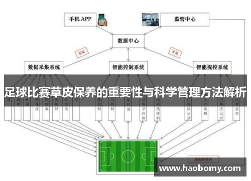足球比赛草皮保养的重要性与科学管理方法解析