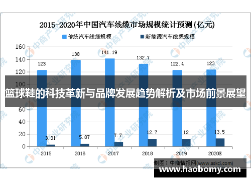 篮球鞋的科技革新与品牌发展趋势解析及市场前景展望