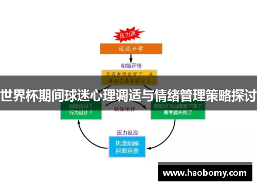 世界杯期间球迷心理调适与情绪管理策略探讨