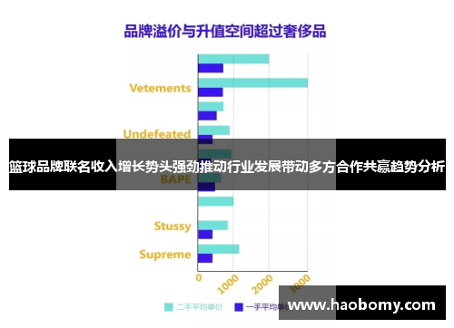 篮球品牌联名收入增长势头强劲推动行业发展带动多方合作共赢趋势分析