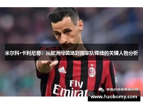 米尔科·卡利尼奇：从欧洲绿茵场到国家队锋线的关键人物分析