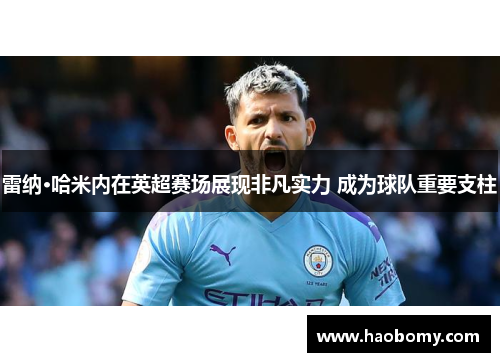 雷纳·哈米内在英超赛场展现非凡实力 成为球队重要支柱