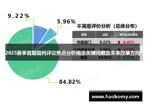 2025赛季首期裁判评议焦点分析揭示关键问题及未来改革方向