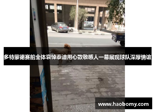 多特蒙德赛前全体哀悼泰迪用心致敬感人一幕展现球队深厚情谊